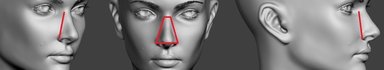 Пирамида носа